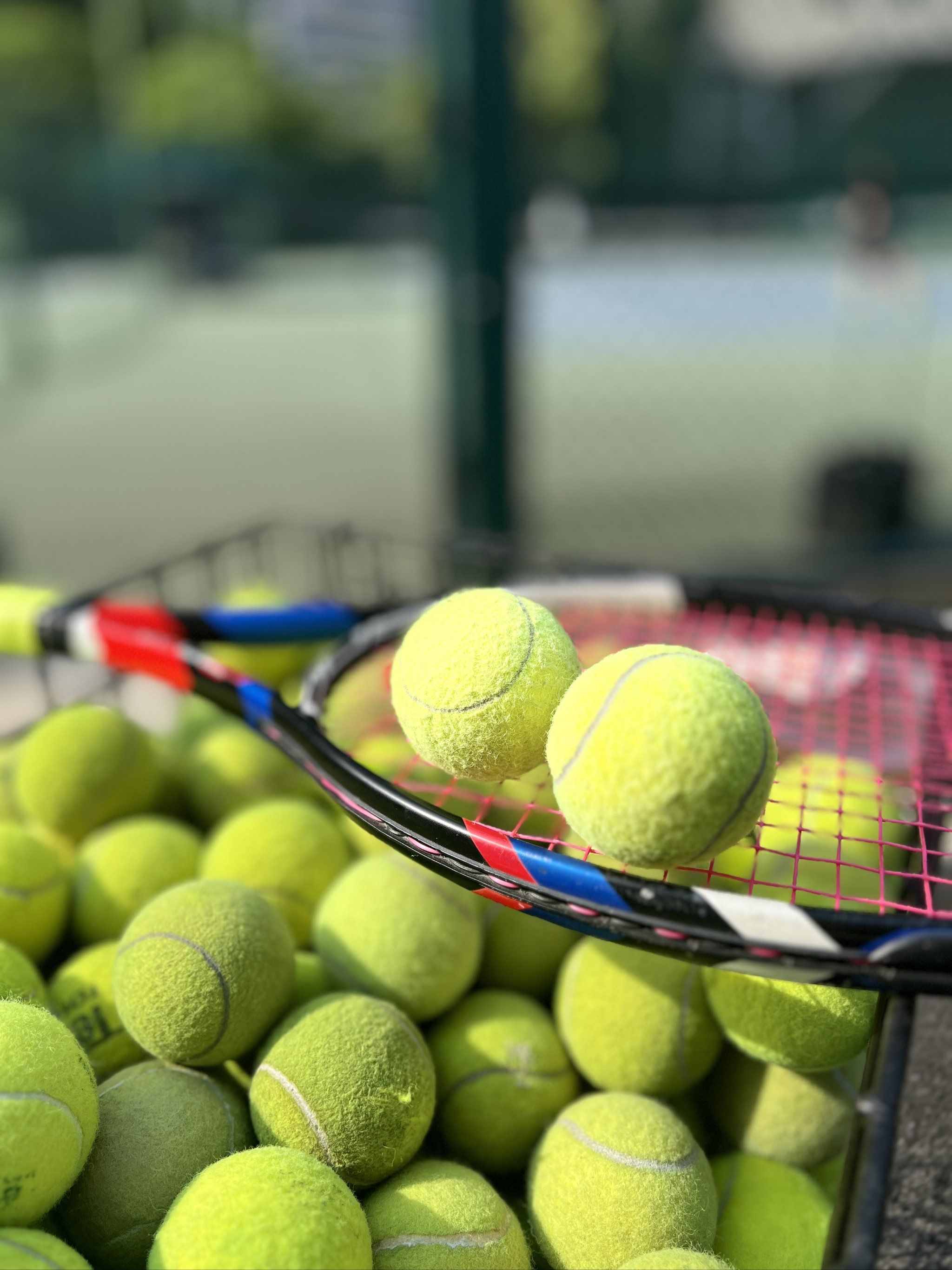 然而在第二 然而在第二